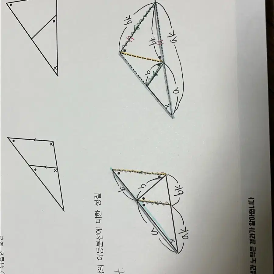 2025미친개념 수1 수2 확통 반값