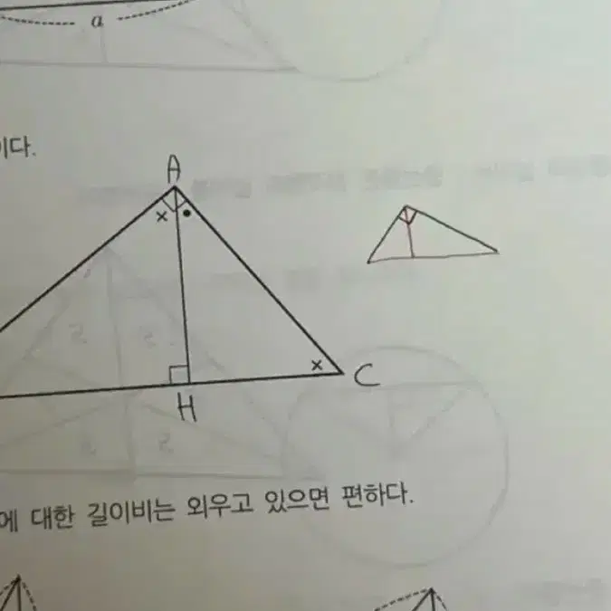 2025미친개념 수1 수2 확통 반값