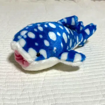 AQUA 아쿠아 진베이상어 상어 블루 블루 봉제 인형 수족관