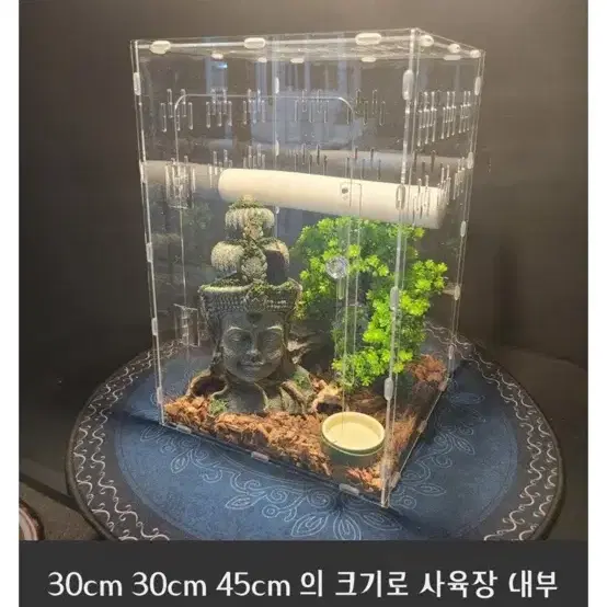 크레스티드게코 사육장