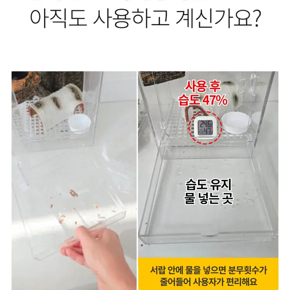 도마뱀 사육장 판매 202030