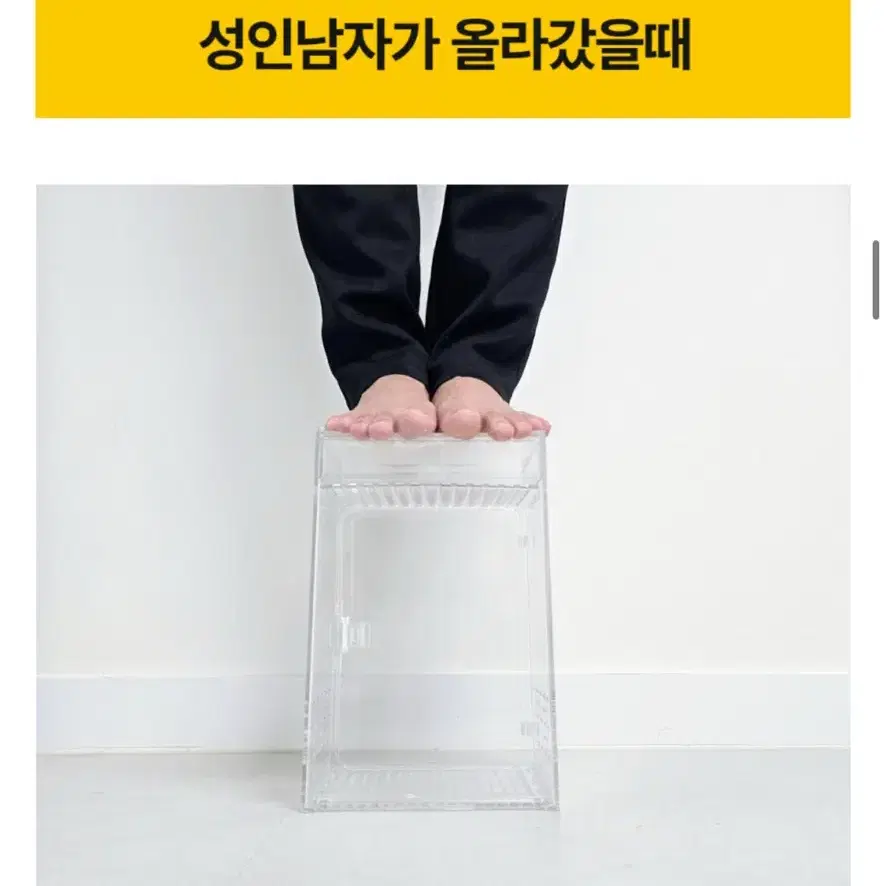 도마뱀 사육장 판매 202030