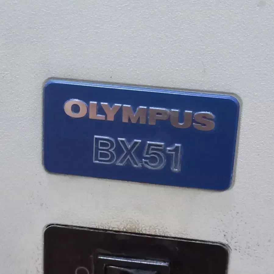 OLYMPUS BX51 3안CCD 위상차현미경 판매