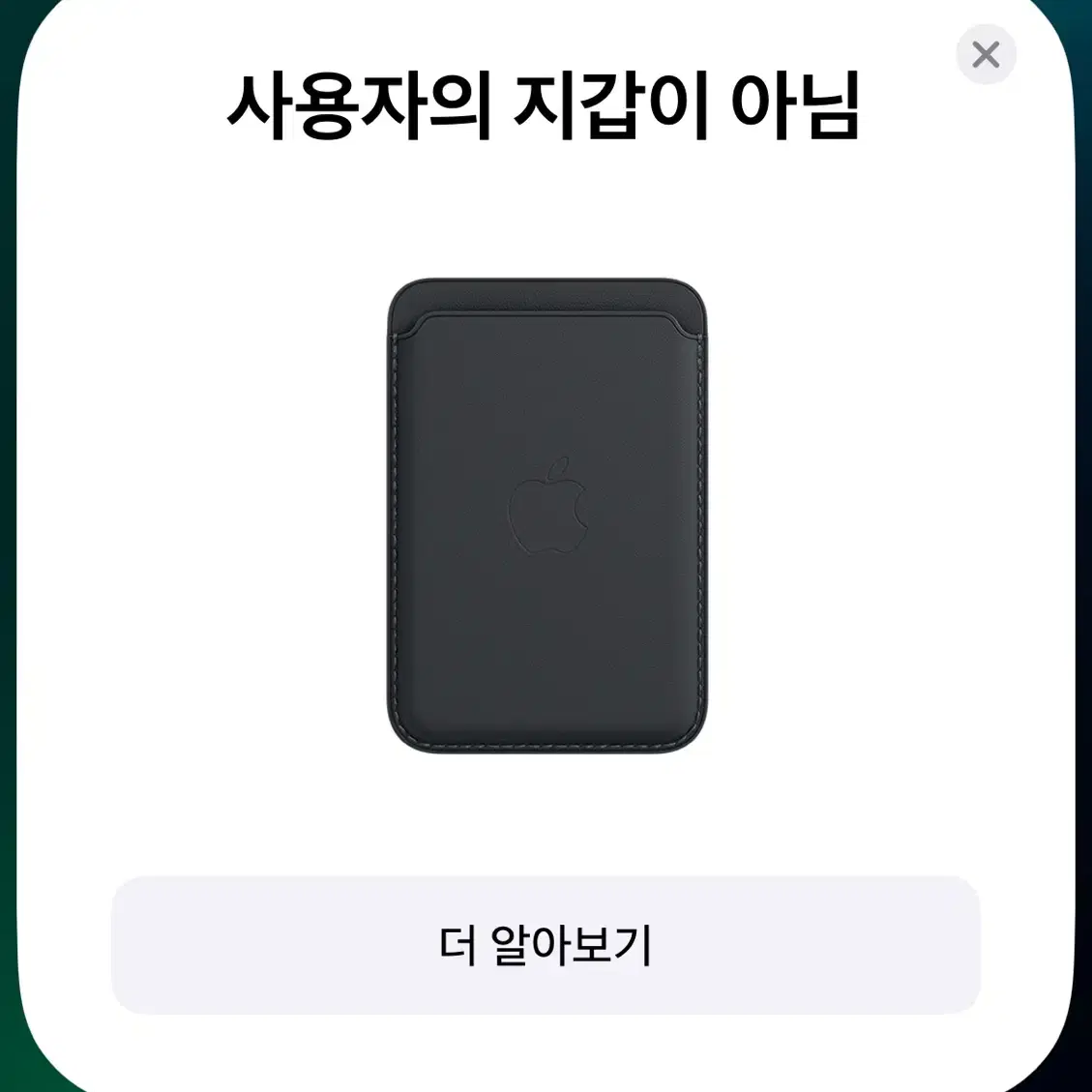 애플 맥세이프지갑