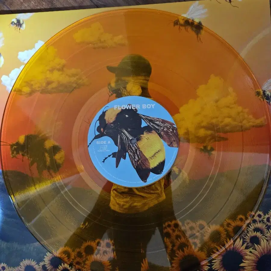 tyler the creator flower boy 한정판 lp