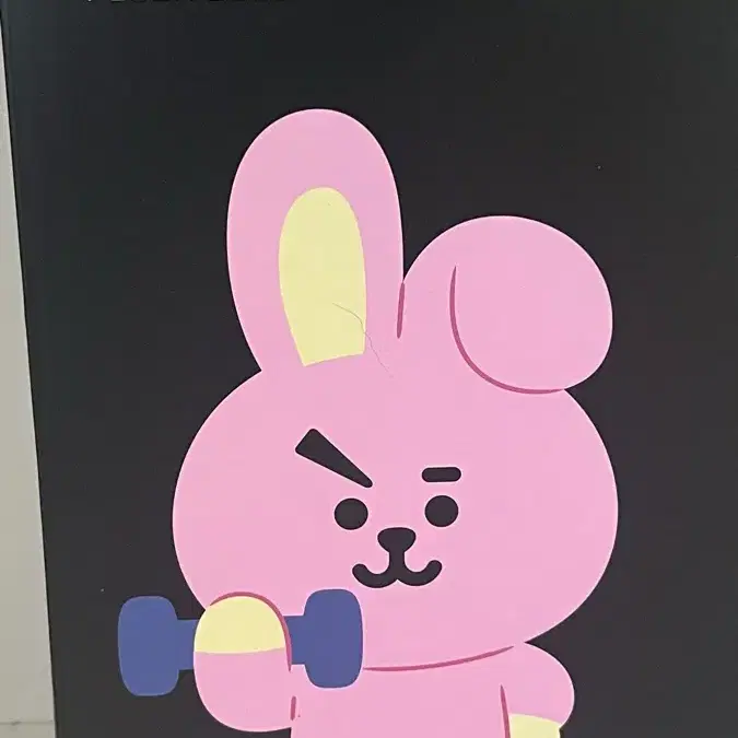 BT21 미디엄 스탠딩 인형 쿠키