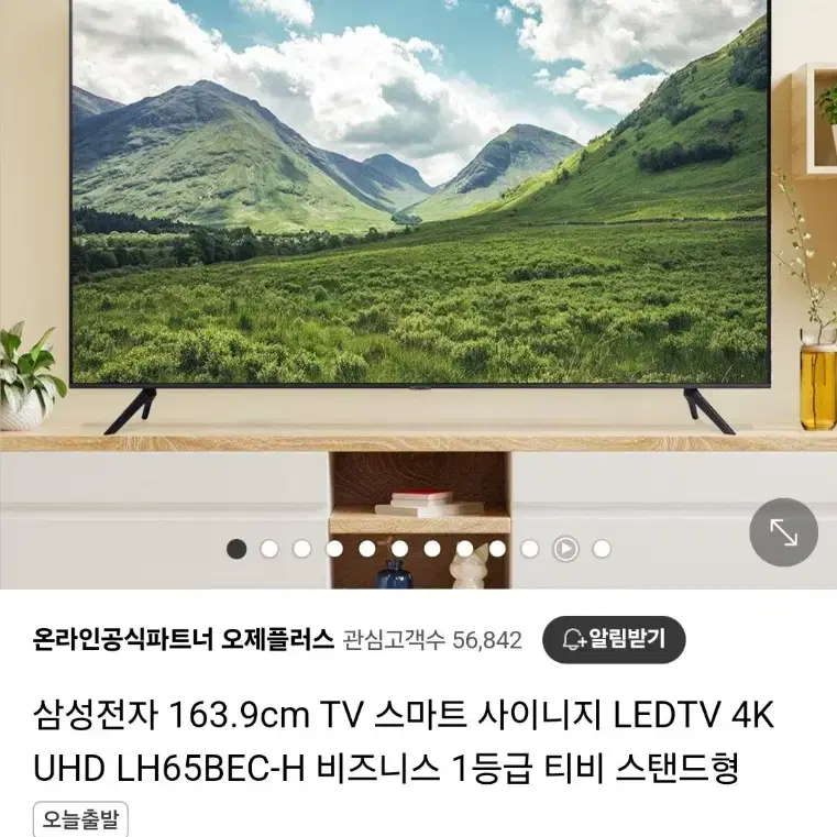 삼성 65 인치 TV