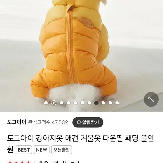 도그아이 강아지옷 패딩