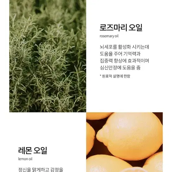 에이디스 아로마 딥포커스 롤온