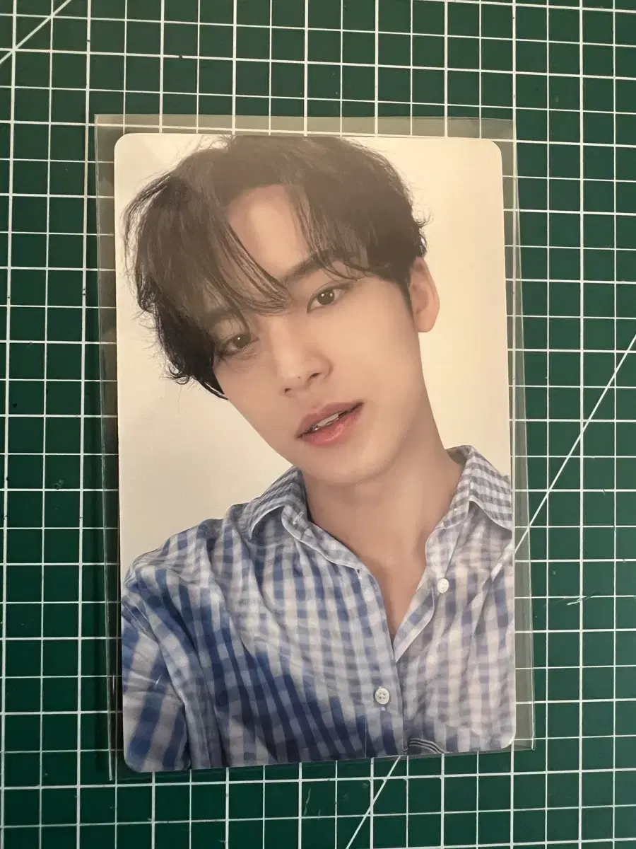 세븐틴 포카