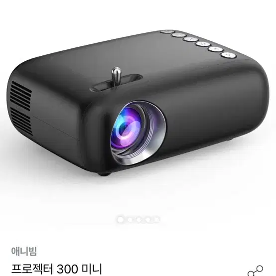 애니빔 300