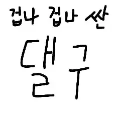 댈구해드려요