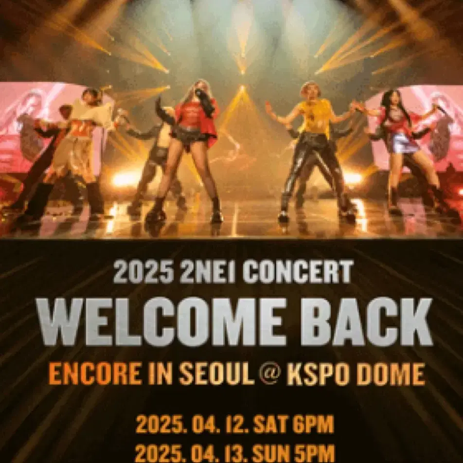 투애니원 2ne1 앵콜 콘서트 취켓팅