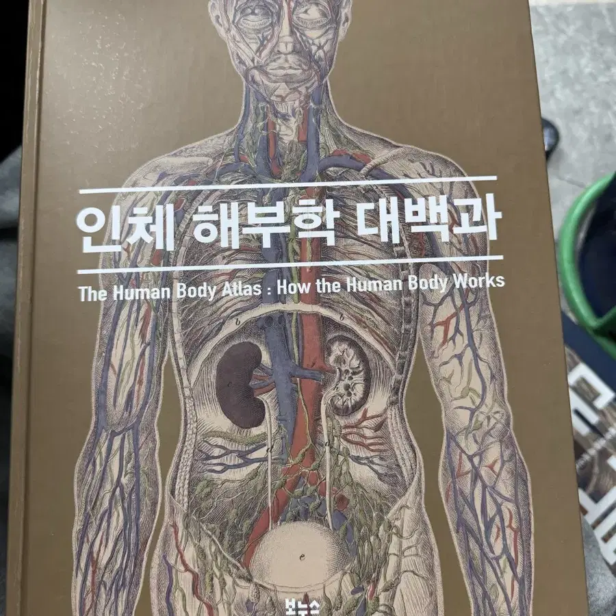 인체 해부학 대백과