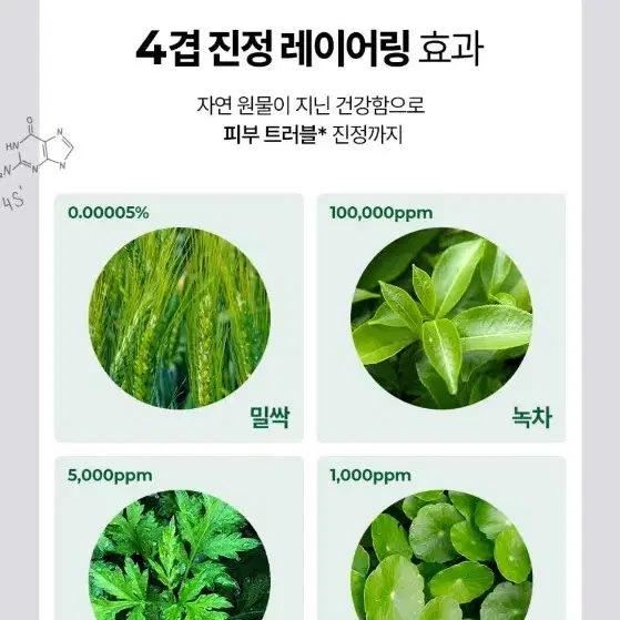 메디필 알고 톡스 스피큘링 포어 마스크 100ml