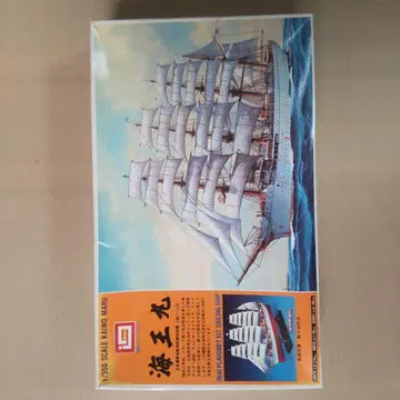 IMAI 카이오마루 1/350 스케일