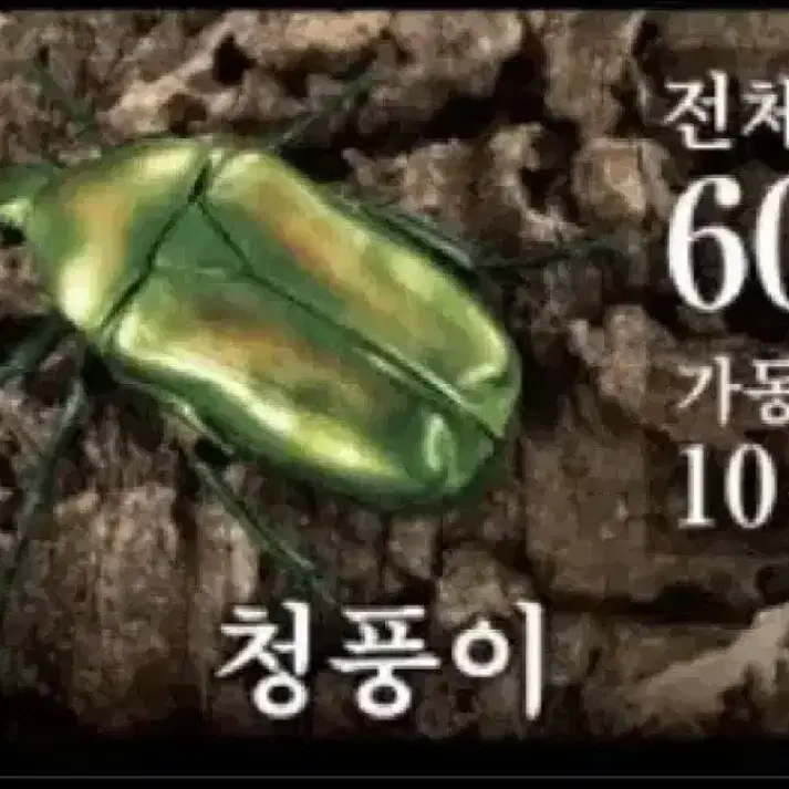 생물대도감 7탄 청풍이 판매