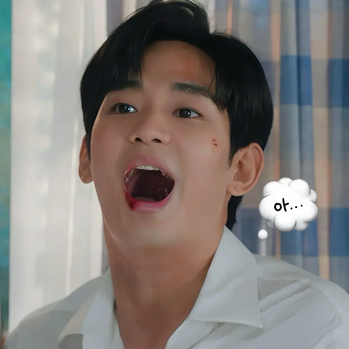 김수현 스티커 도무송 비공굿 판매헙니다 !! (증사)