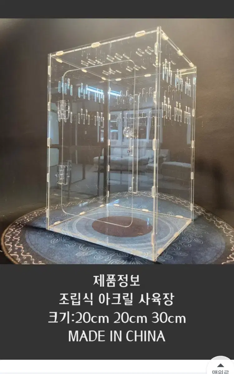 크레스티드게코 사육장 도마뱀