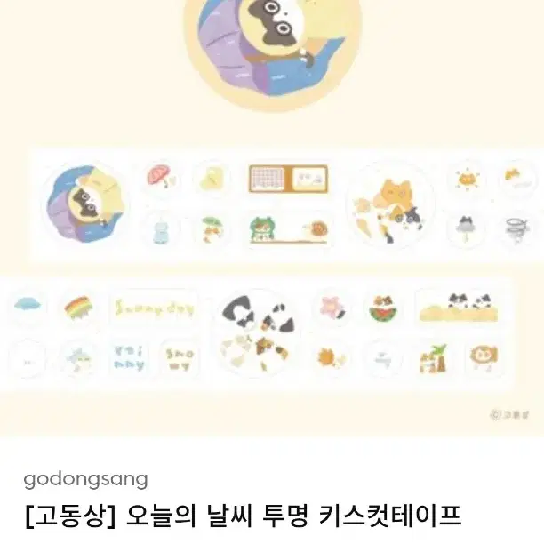 고동상 키스컷