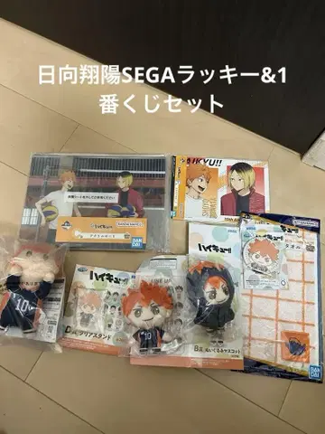 새상품! 하이큐 히나타 쇼요 SEGA 럭키 쿠지 & 제일복권 세트