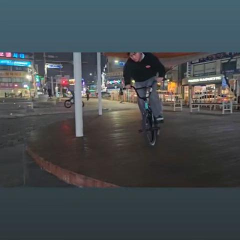 (1대주)(무하자)BSD ALVX AF+ bmx 프레임