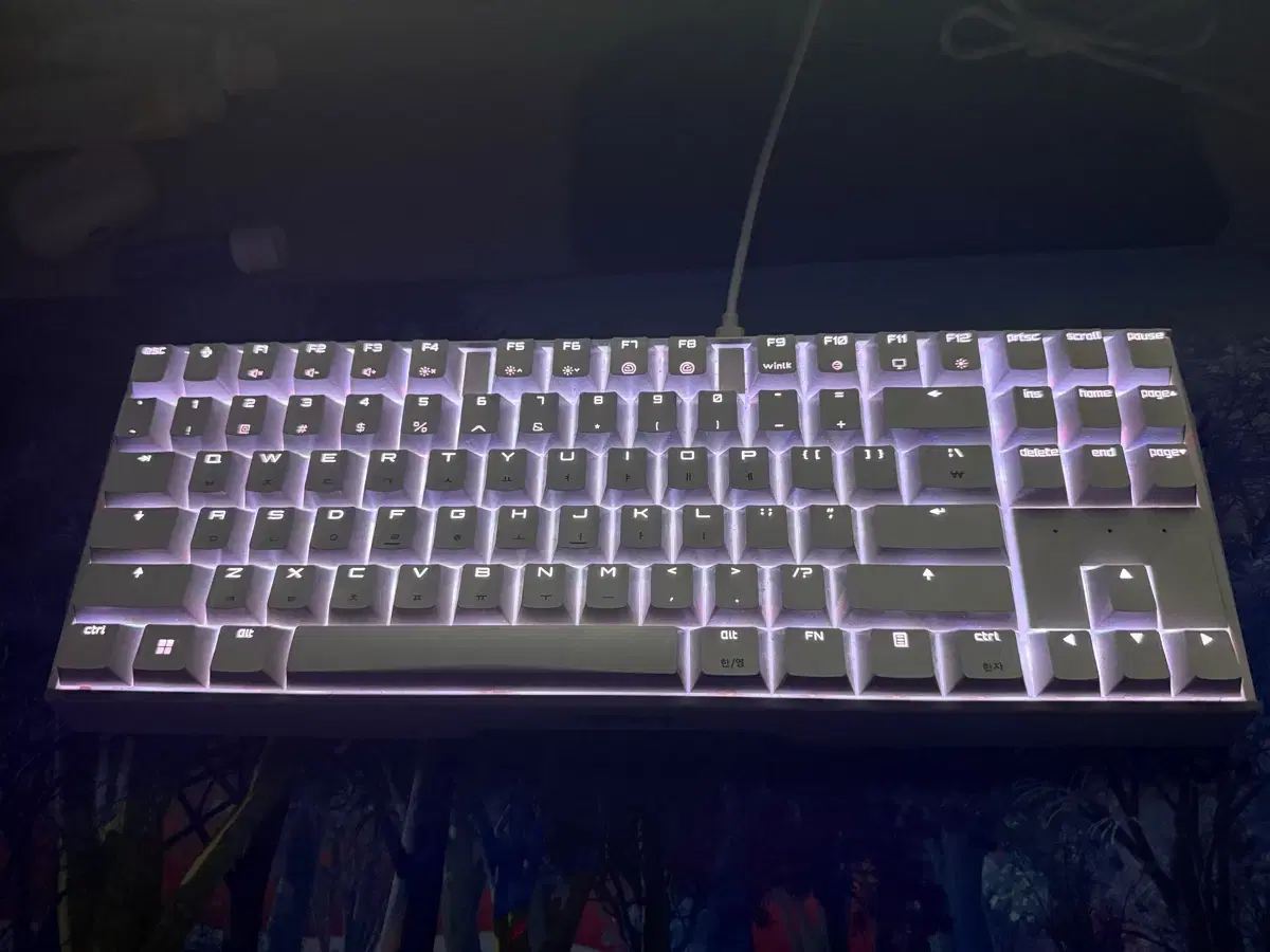 체리 mx board 3.0s tkl 화이트 갈축