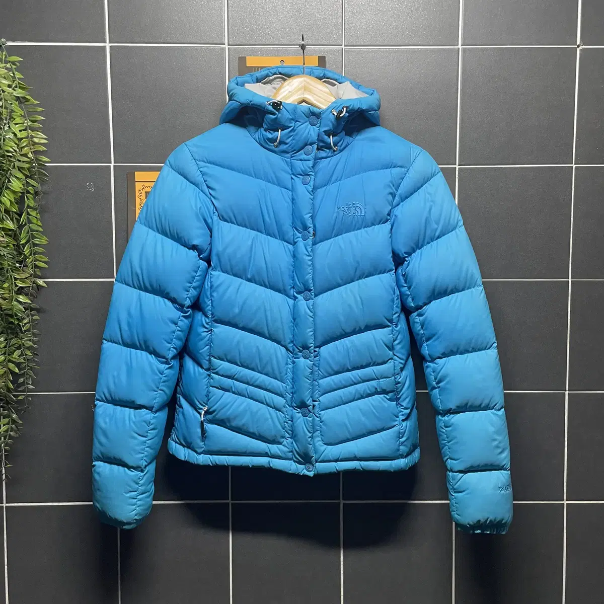 The North Face 노스페이스 구스다운 700 패딩