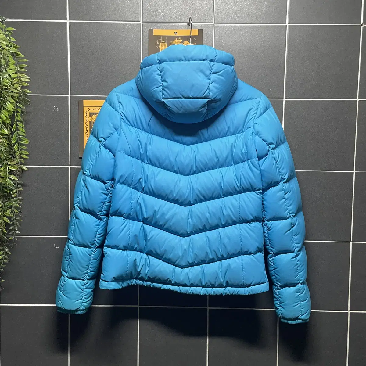 The North Face 노스페이스 구스다운 700 패딩