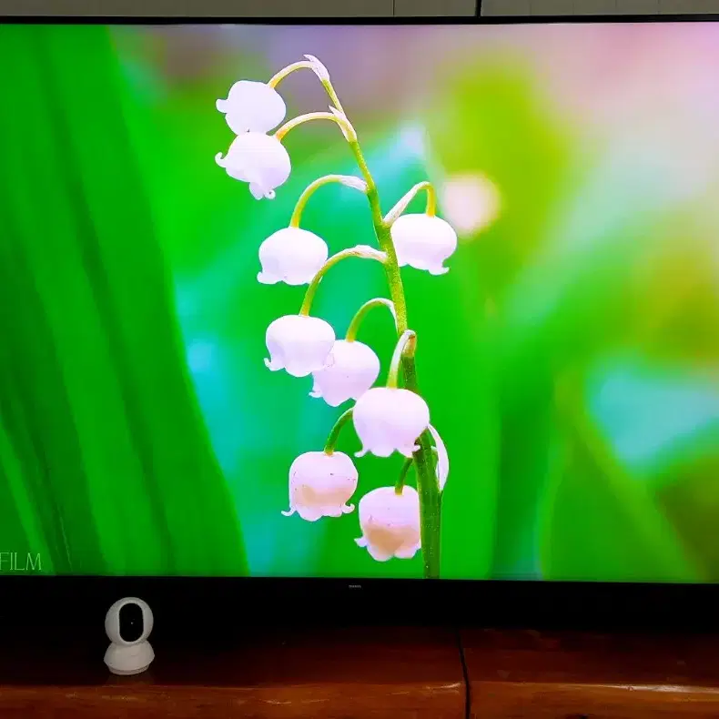 삼성전자 82인치 PREMIUM 4K UHD Quantum Dots