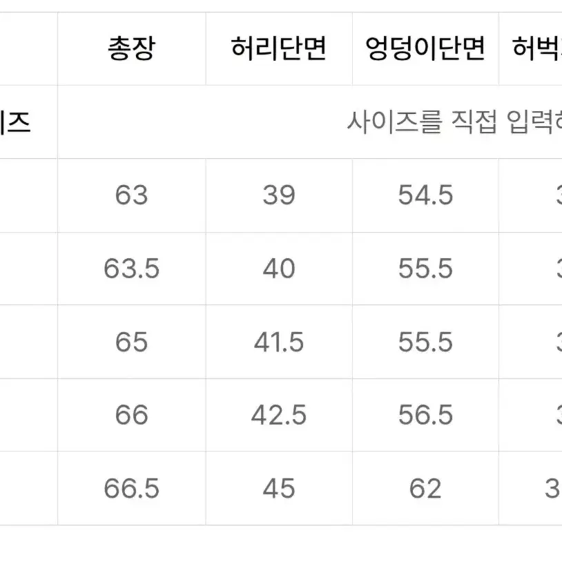 아디다스 데님 플레임 쇼츠 (32)