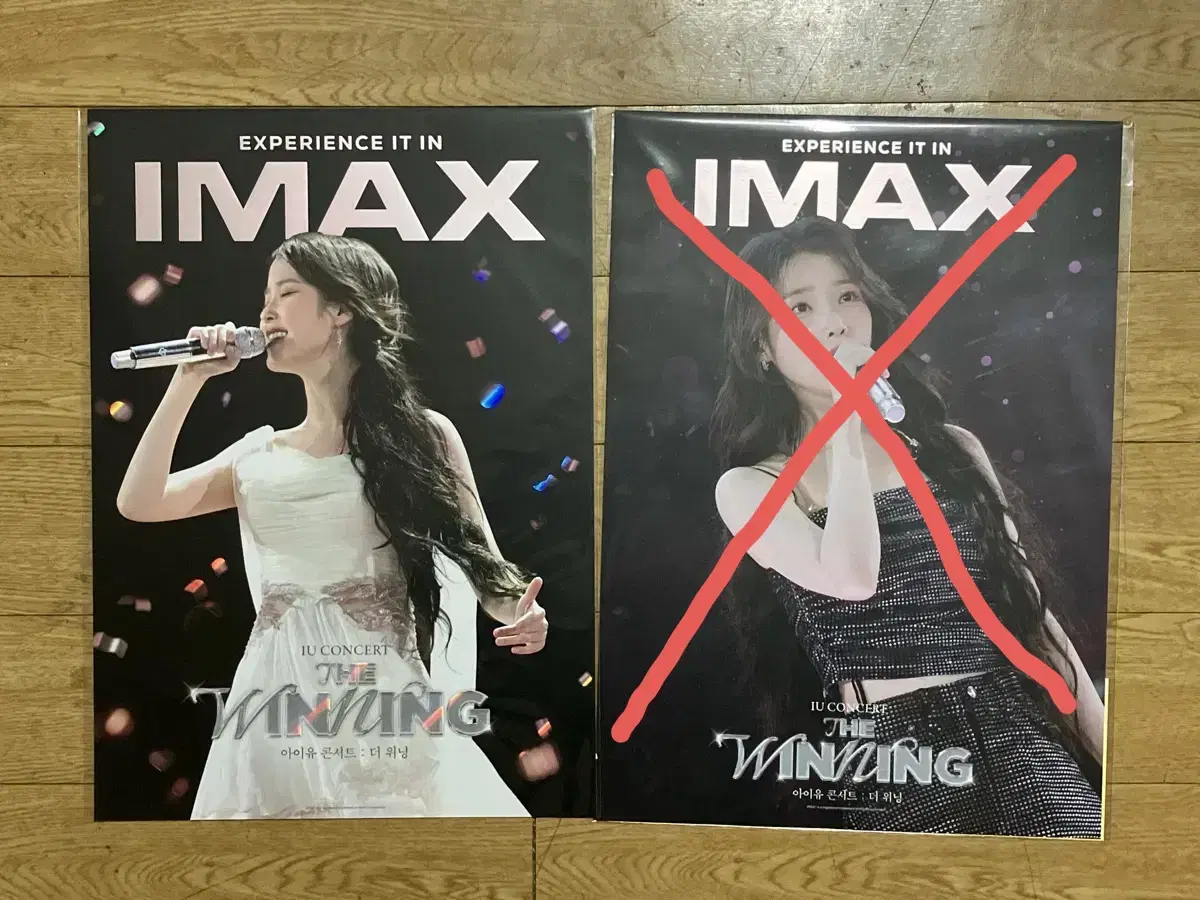 아이유 콘서트 더 위닝 IMAX 특전 포스터 (급전)