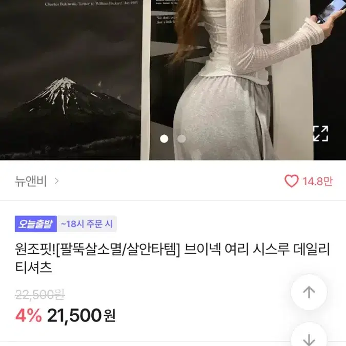 뉴앤비 시스루 브이넥 티셔츠 차콜 옷장정리 에이블리