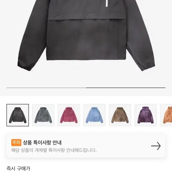 스투시 비치쉘 바람막이 팝니다