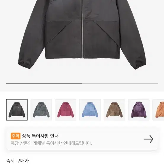 스투시 비치쉘 바람막이 팝니다