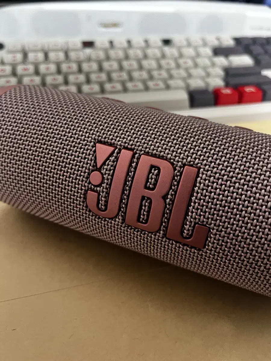 Jbl flip6 pink