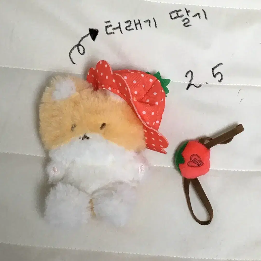 [거래 중] 백현 인형 터래기 양도 판매 20cm 딸기 유령