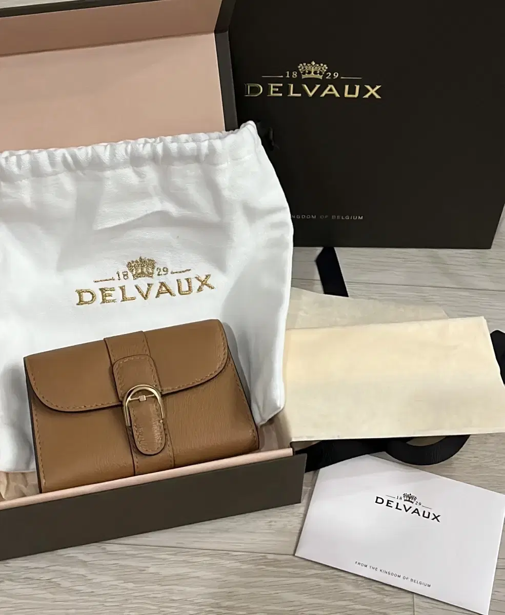 Delvaux Brienne kard wallet Vegetal