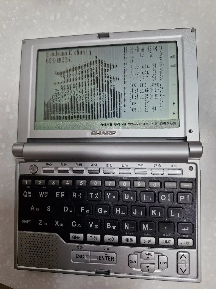 Sharp dictionary. Parts. Broken characters. Single item