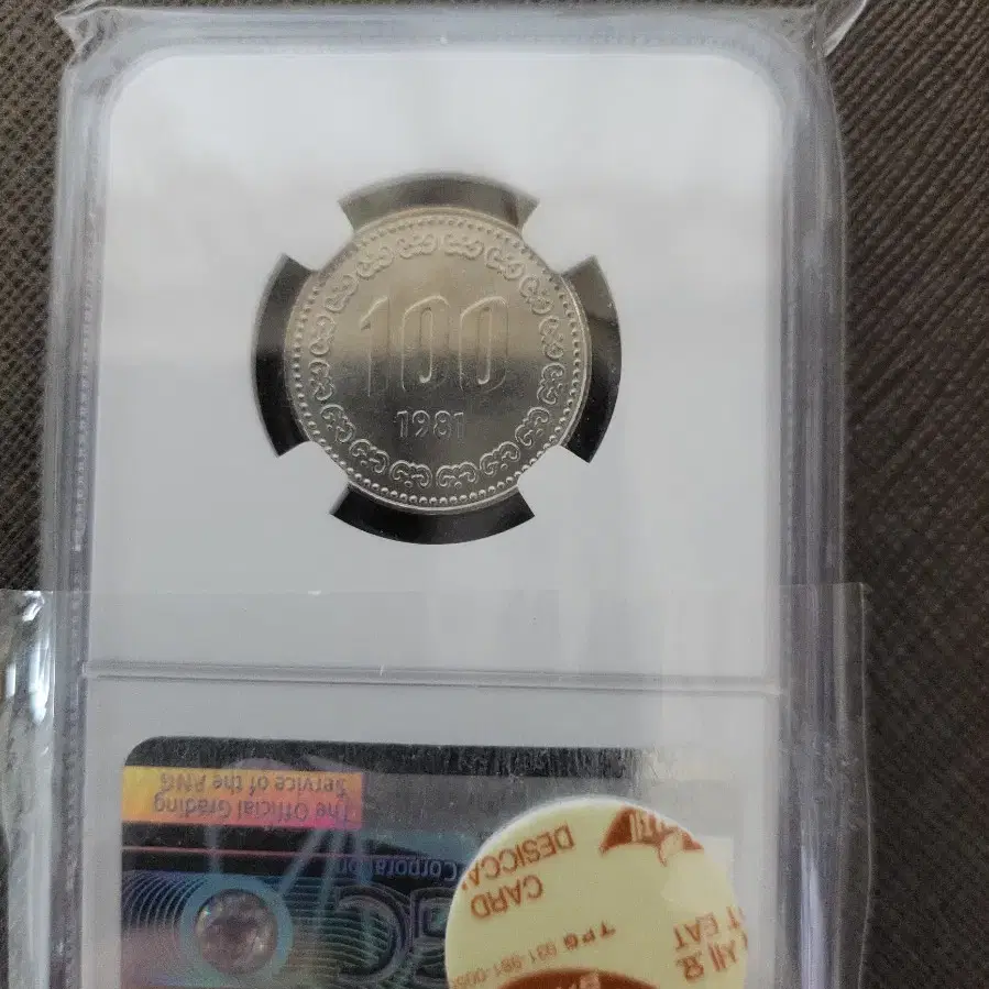 1981년100 ngc64등급