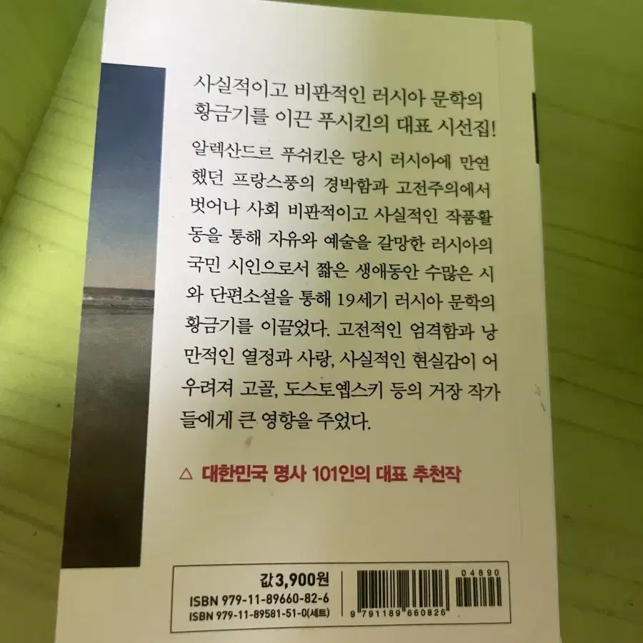 삶이 그대를 속일지라도 책