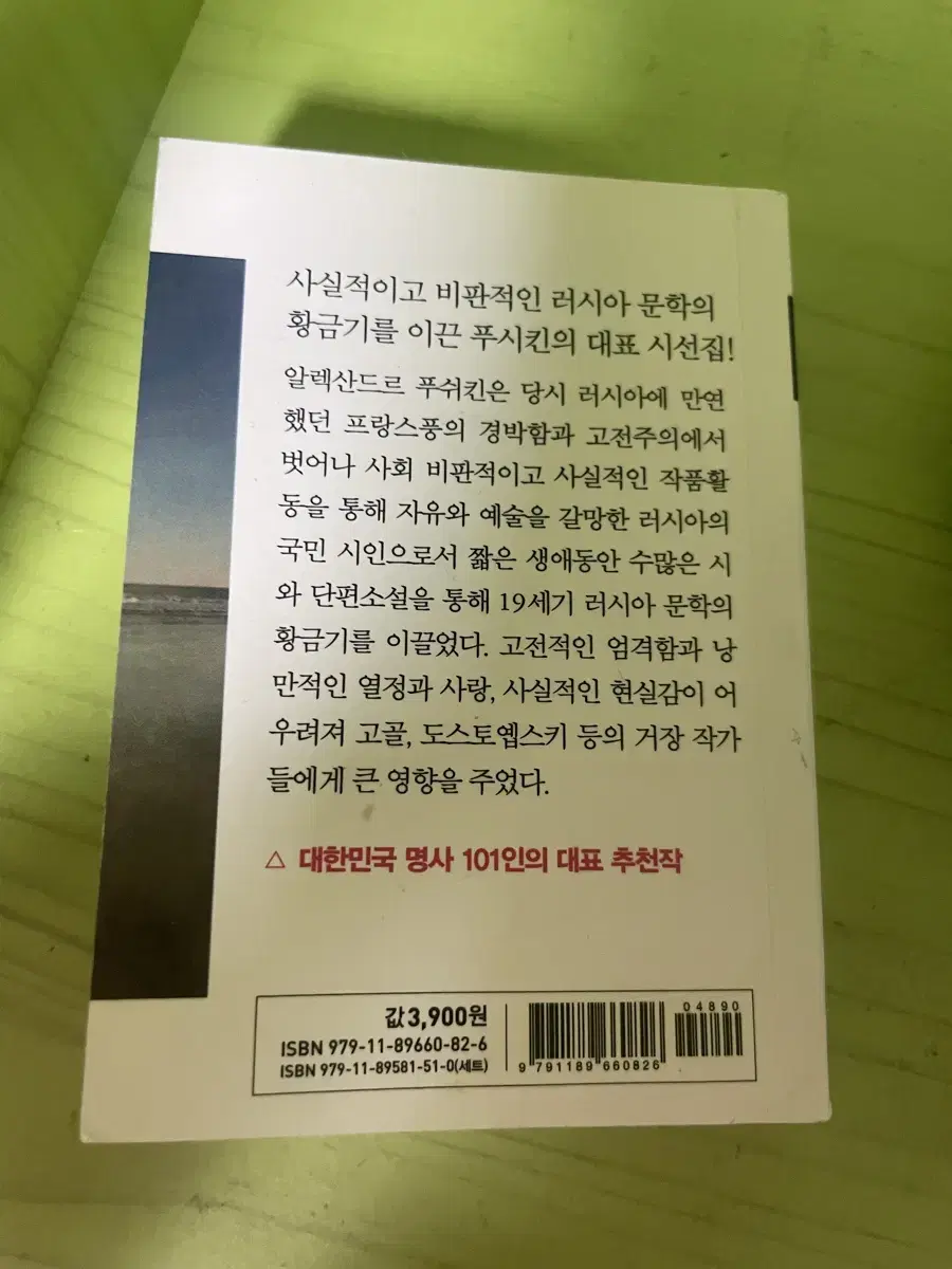 삶이 그대를 속일지라도 책