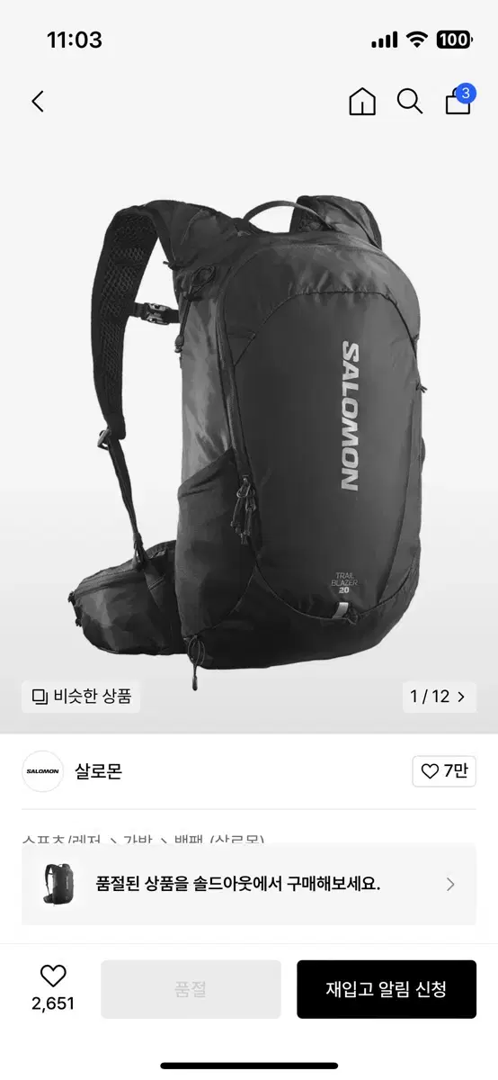 살로몬 백팩 트레일블레이저 20 블랙