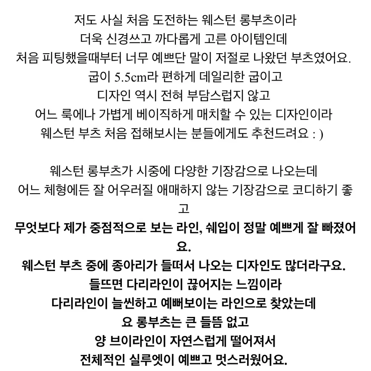 웨스턴 부츠 블랙 230