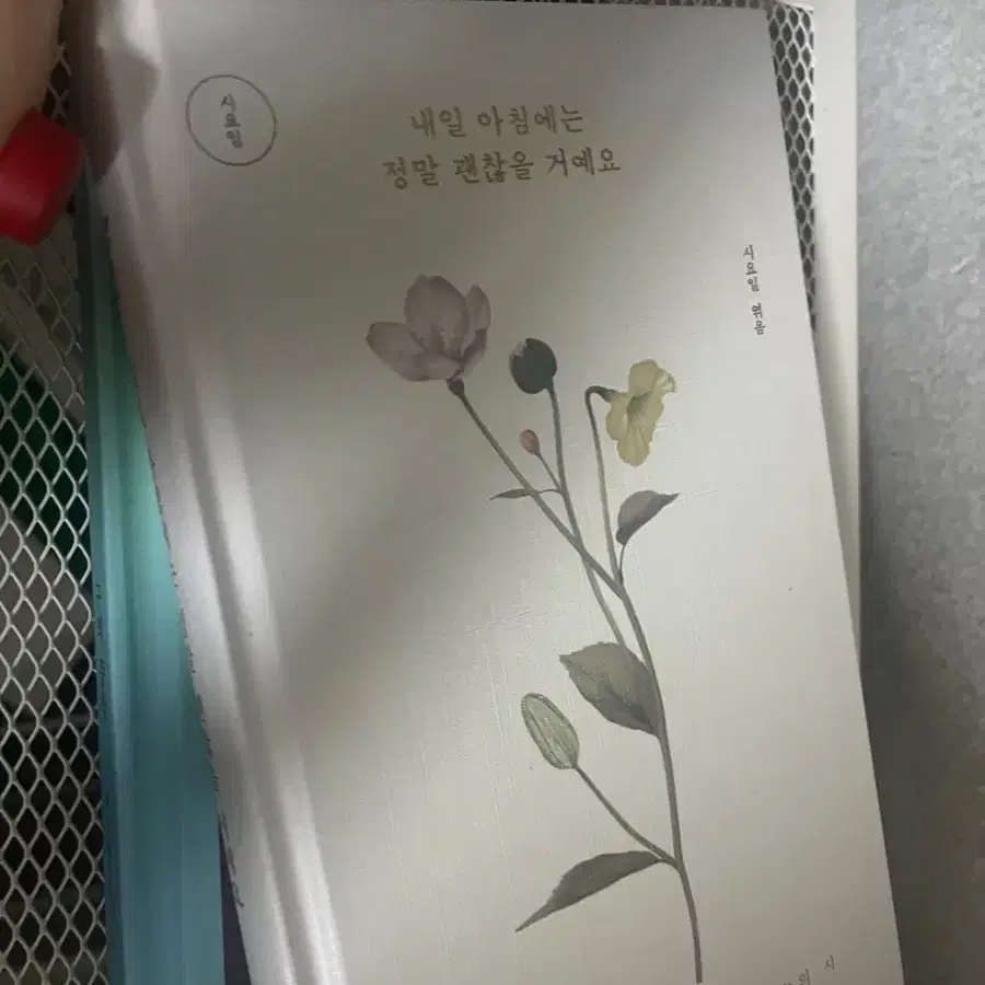 내일 아침에는 정말로 괜찮을거예요 시요일