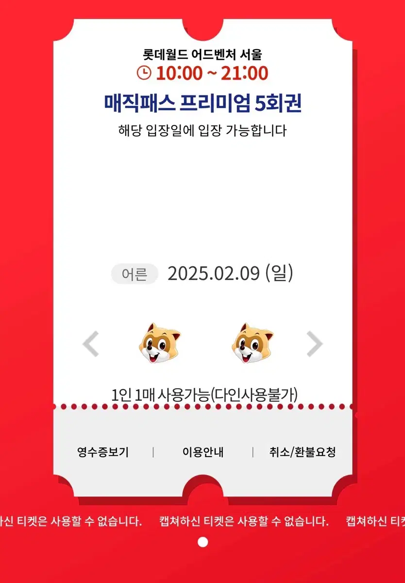 롯데월드 매직패스 2월 9일 5회권 양도