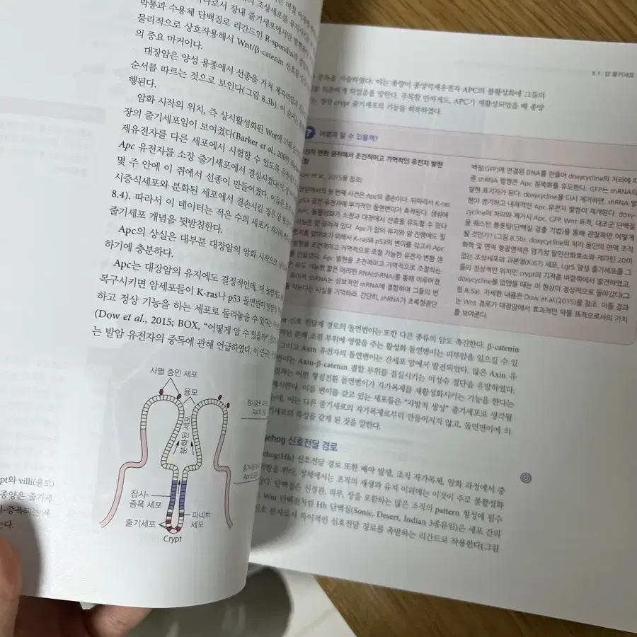 약대 전공서적 팝니다(병태/생약학/암생물학/미생물)