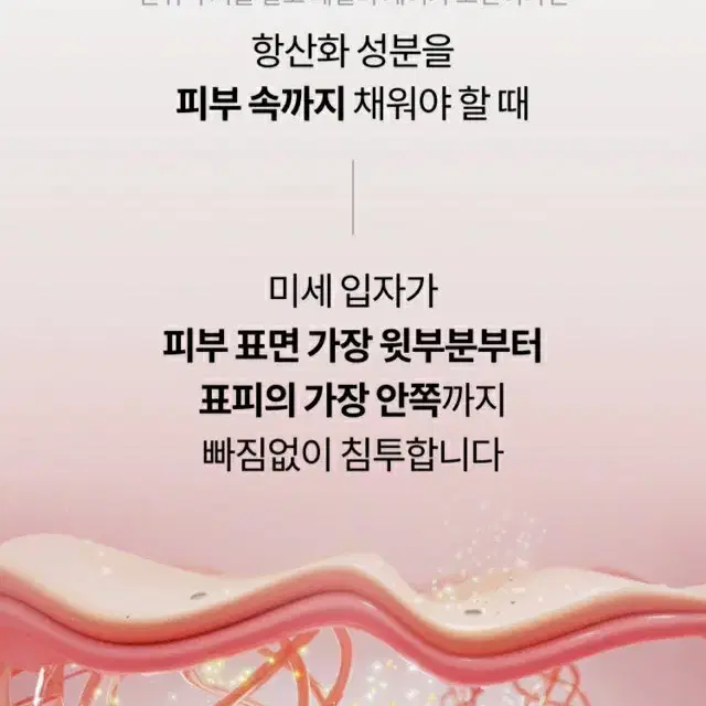 2월최신/핑크원더 호호바 에이징 플루이드 30ml/호호바아이앤넥세럼