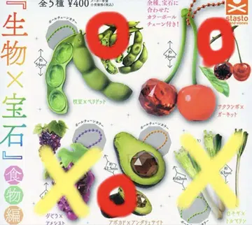 생물 x 보석 식품 편 가챠 캡슐 토이