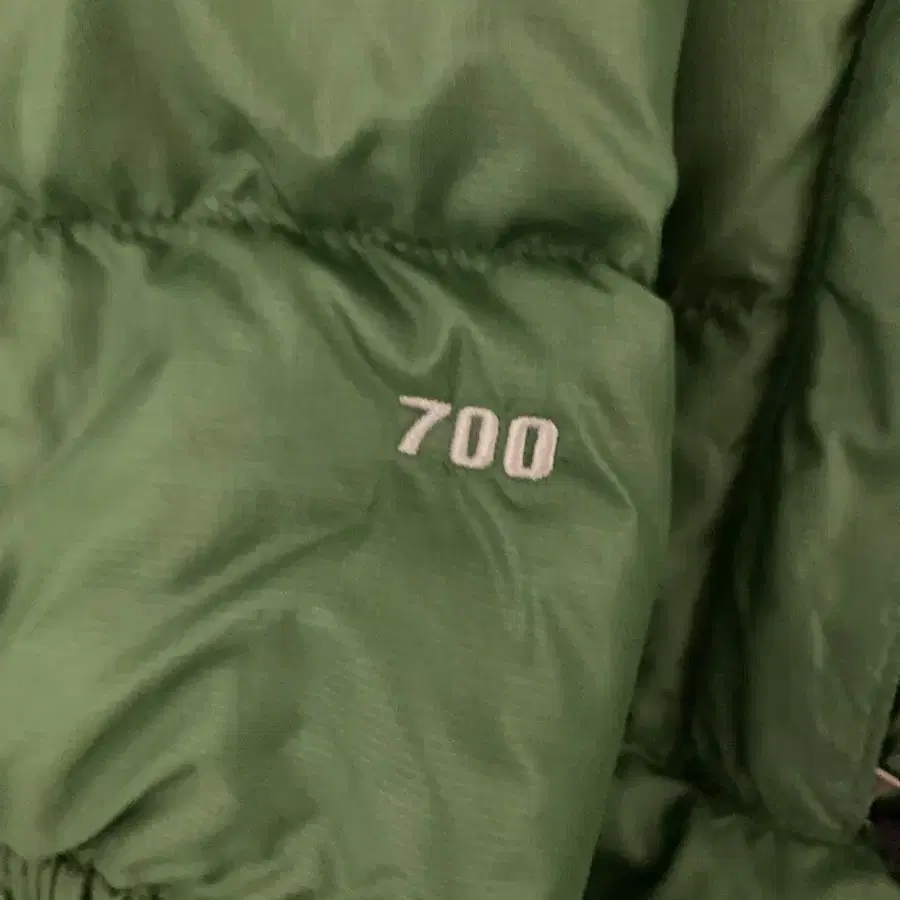 [L] The North Face 눕시 다운 재킷 700 그린 패딩